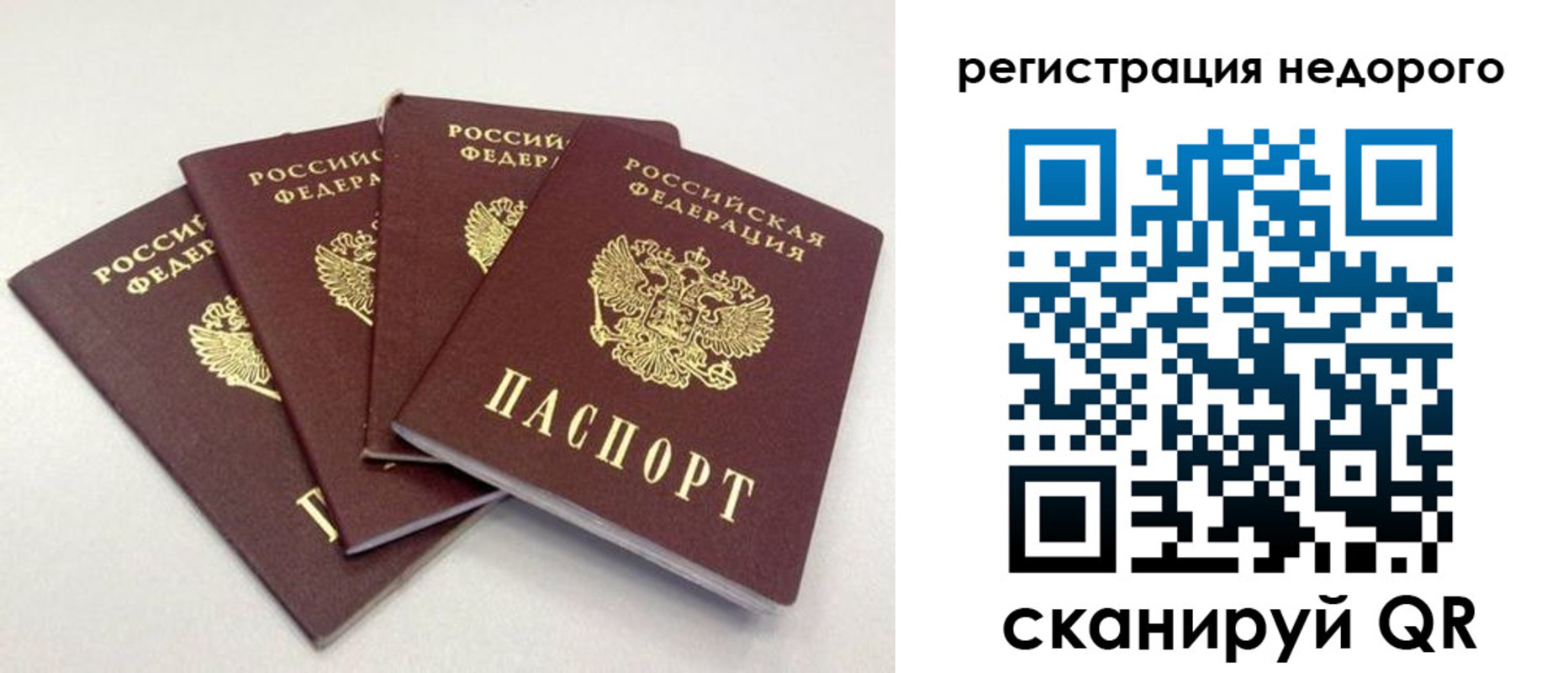 регистрация для школы в Светлограде
